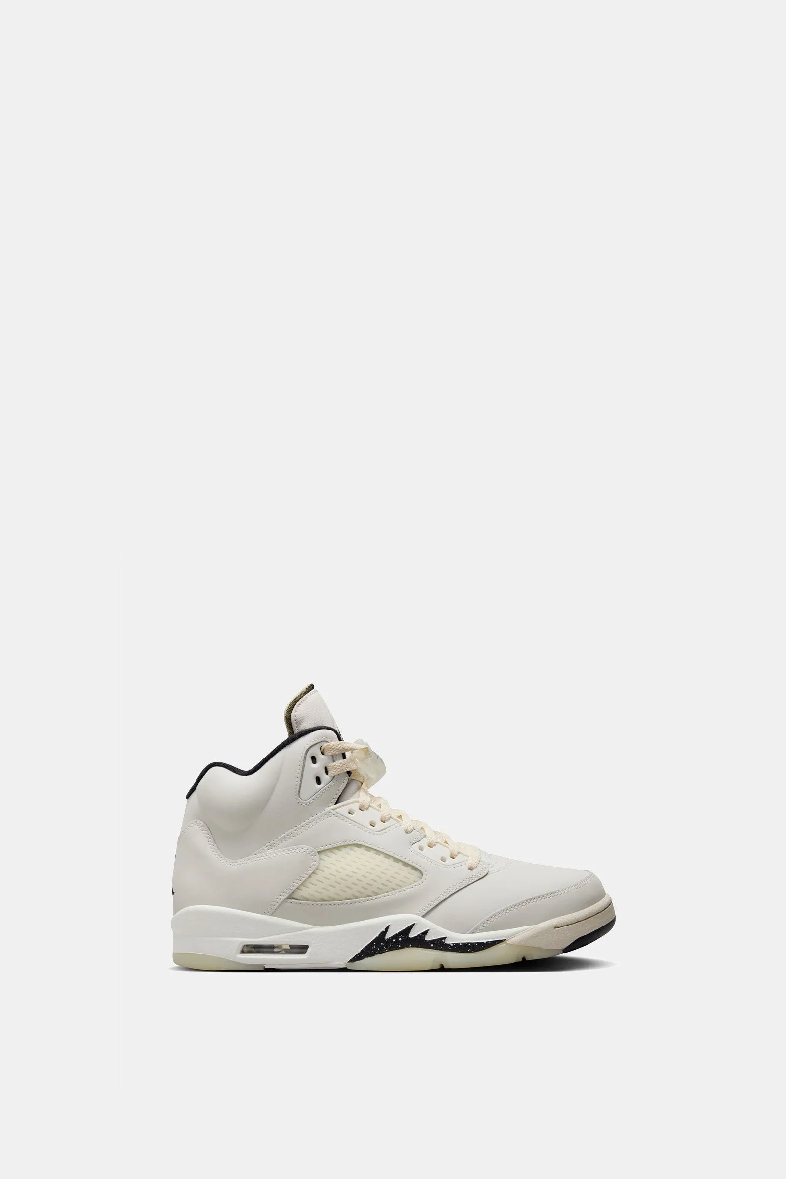 Air Jordan 5 Retro SE