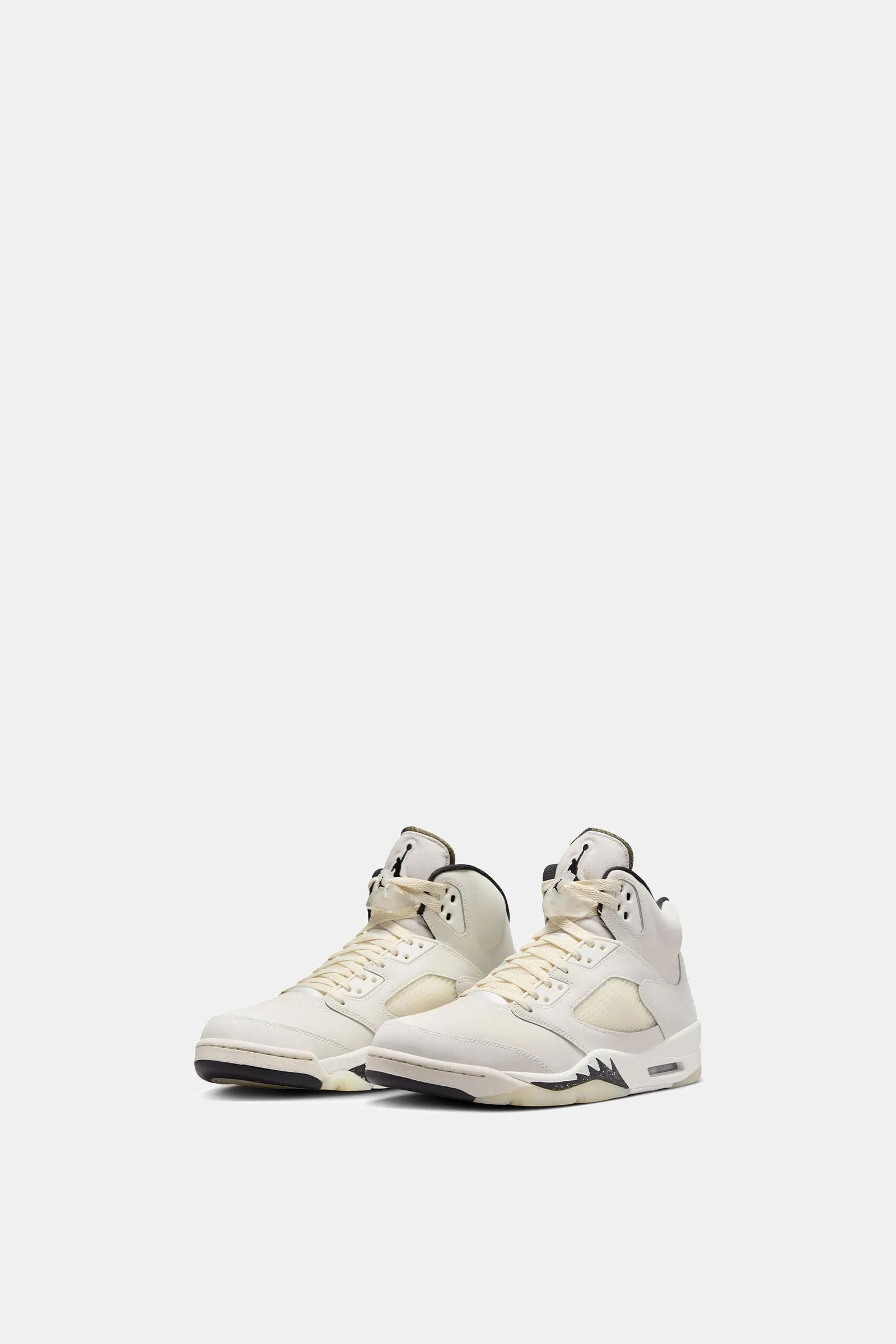 Air Jordan 5 Retro SE