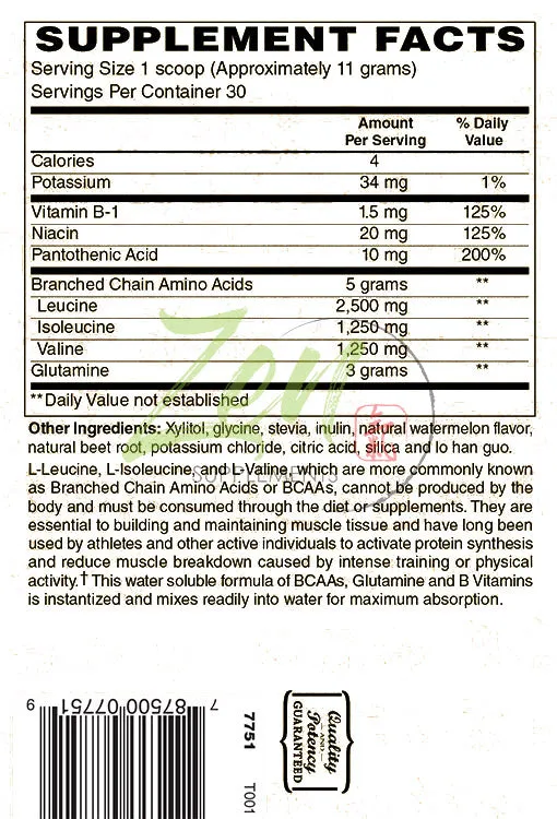 BCAA - Branch Chain Amino Acids - 330g Powder