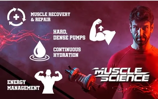 Muscle Science Amino BCAA Intra Workout/Post Workout, 5.5 Gm Micronized Vegan BCAA, 3.5 Gm Glutamine, 1Gm Citrulline & 585 mg Electrolytes, Muscle Recovery & Growth | FREE STEEL SHAKER (MOJITO MARGARITA)