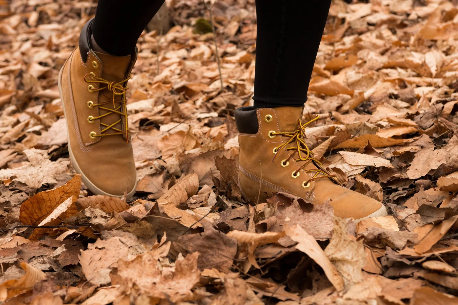 Nubuck Utility Hikers