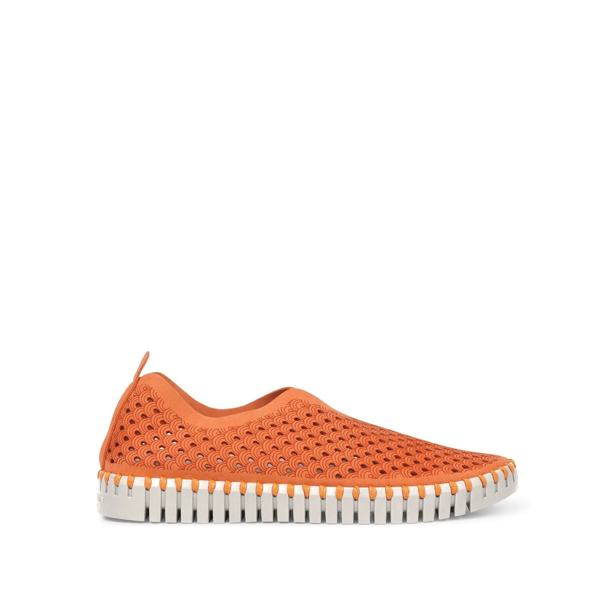 Tulip Slip On - Orange/Camelia