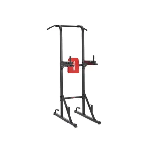 York Fitness Workout Tower